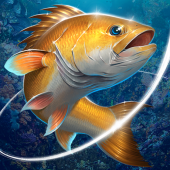 Fishing Hook Image Fishing Hook