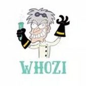BestWhozi Profile Analysis (wersja polska) Image BestWhozi Profile Analysis (wersja polska)