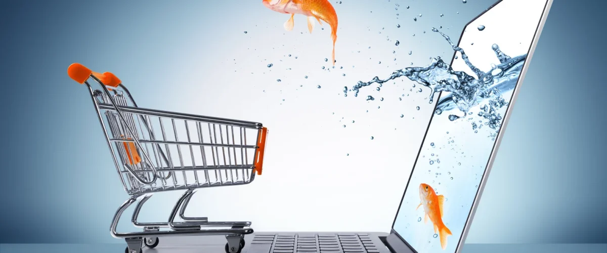 Your Comprehensive Guide to the World of E-Commerce